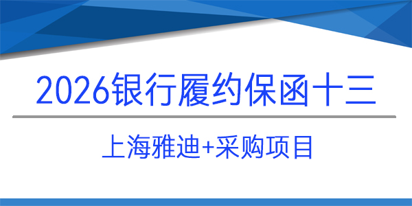 上海雅迪信息技术有限公司,履约保函,采购项目