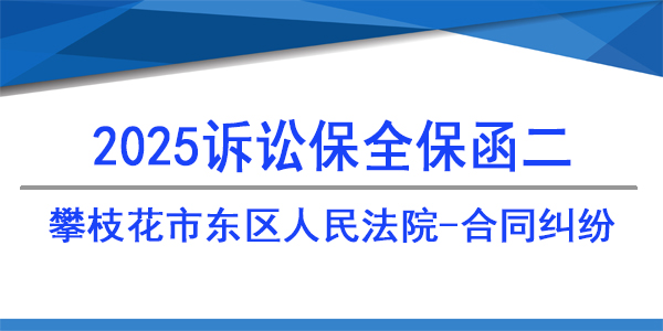 攀枝花市东区人民法院,诉讼保全,财产保全