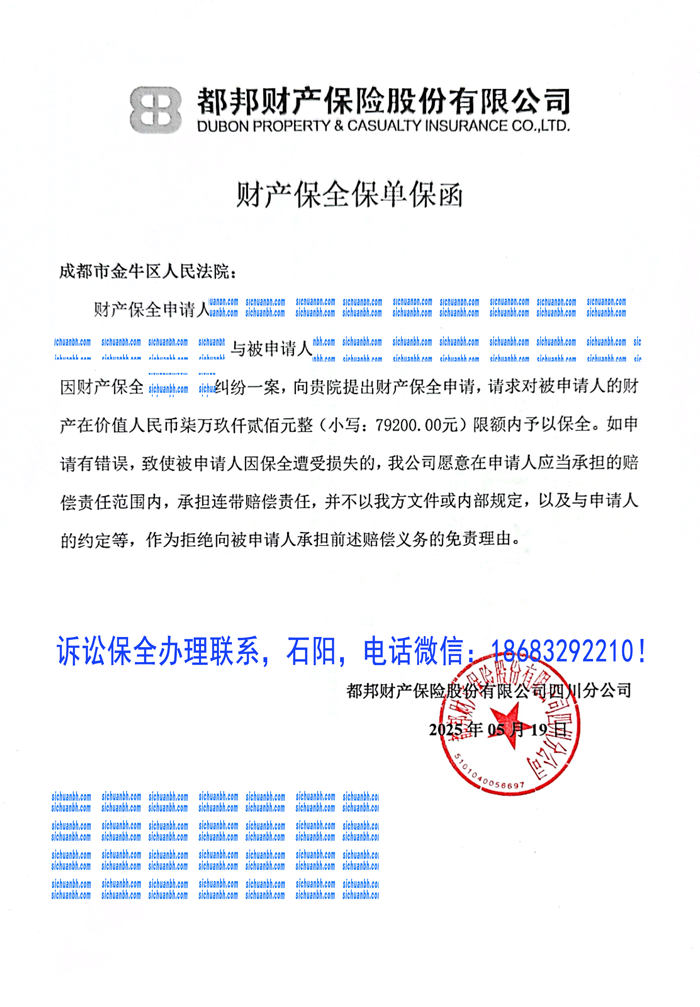诉讼保全.png