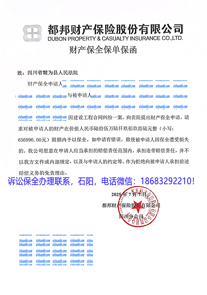 诉讼保全.jpg
