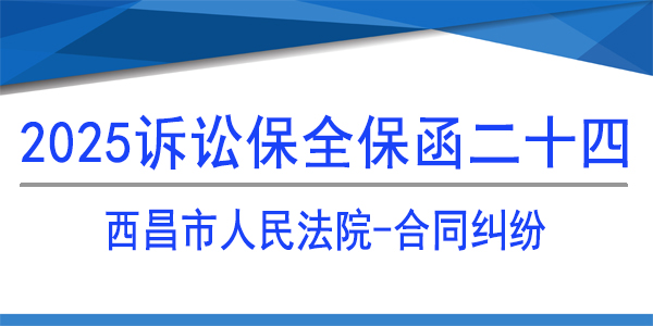 西昌市人民法院,诉讼保全,财产保全