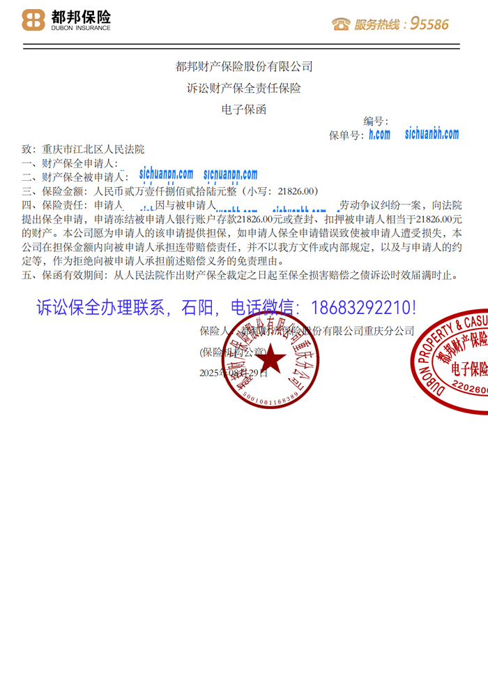 诉讼保全.jpg